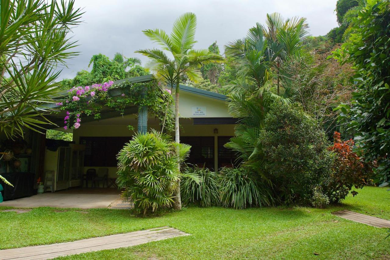 Thornton Beach Bungalows Daintree Cape Tribulation Exterior foto